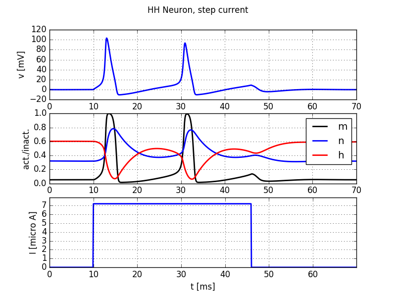 Test Image 1